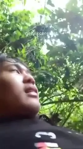 Napalona hidżabistka rucha w parku bez opamiętania