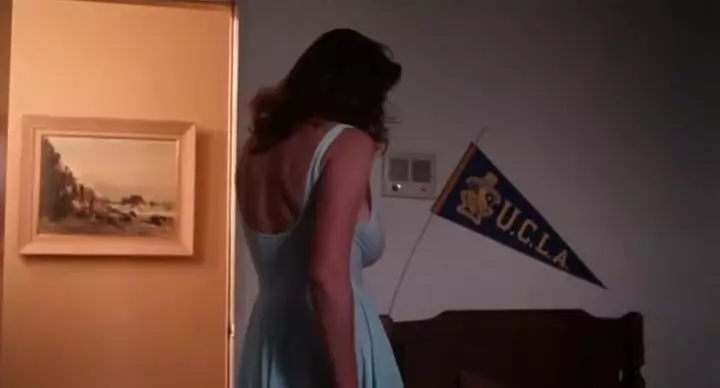 Kay Parker w Gorącej Solówce: Lodzik, Cowboyka i Hardkor