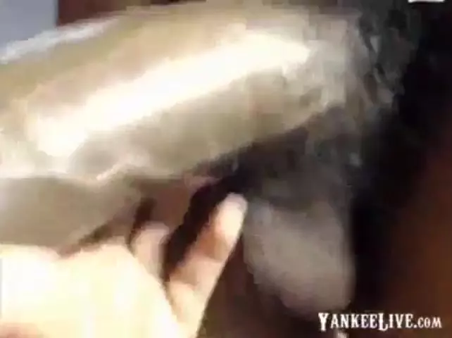 Rachel Steele w egzotycznym doggy z wielkimi cyckami